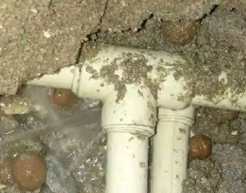 栖霞测漏水多少钱