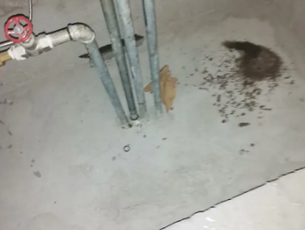 栖霞卫生间测漏水价格明细