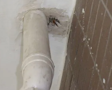 栖霞漏水检测哪家好